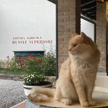 Relais Russiz Superiore Farm stay Capriva del Friuli