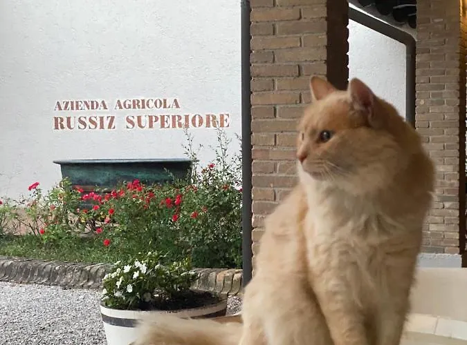 Relais Russiz Superiore Κατάλυμα σε φάρμα Capriva del Friuli